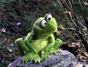 A frog on Sesame Street