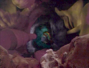The Echo Hole