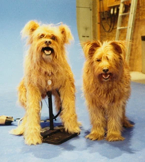Jojo, the puppet, on left. Bamboo, the dog, on right.