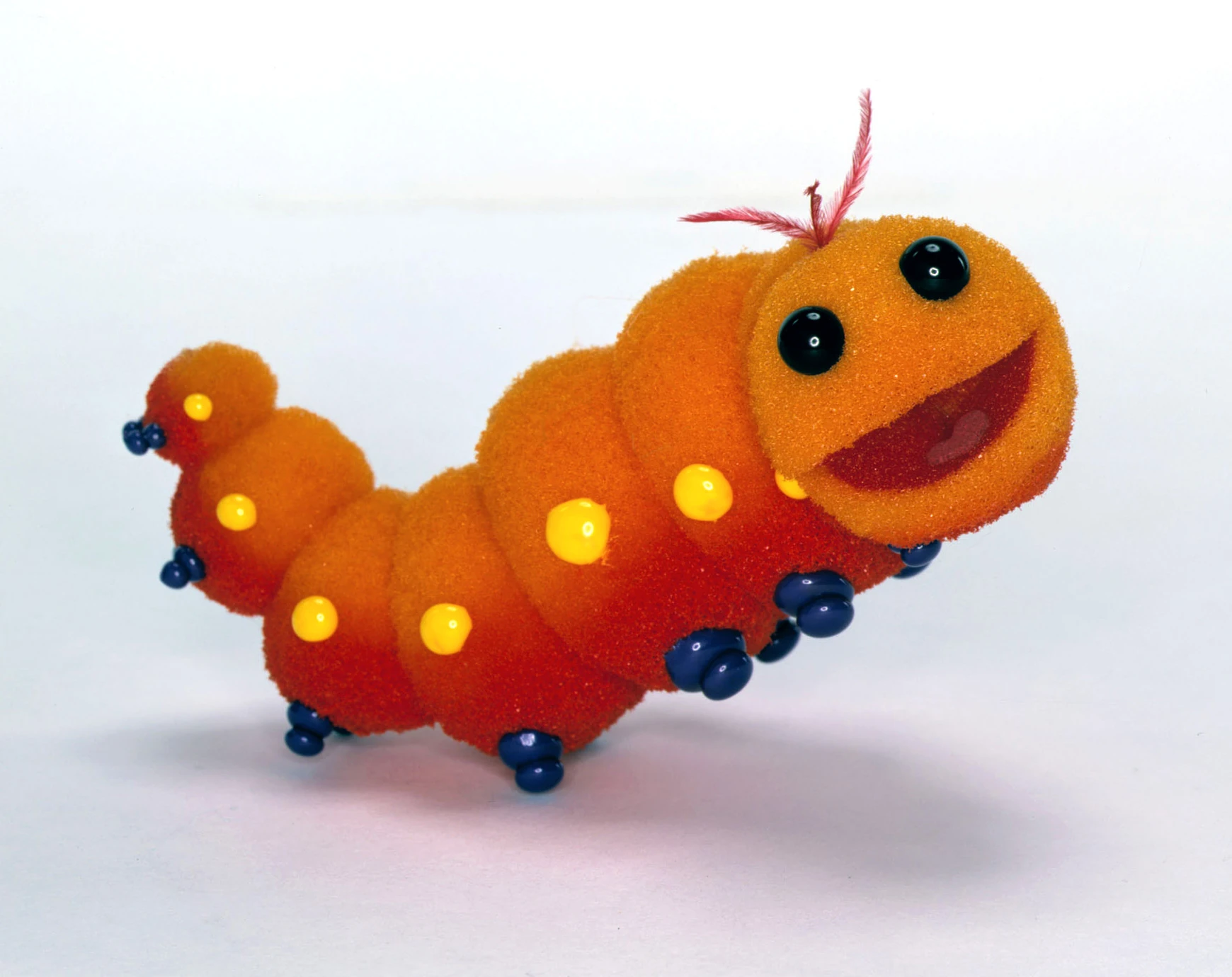 Gustav the caterpillar