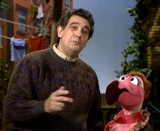 Plácido Domingo and Placido Flamingo