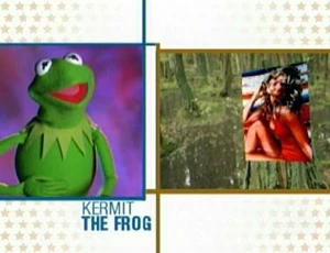 Kermit's Farrah Fawcett poster on a tree in the swamp.