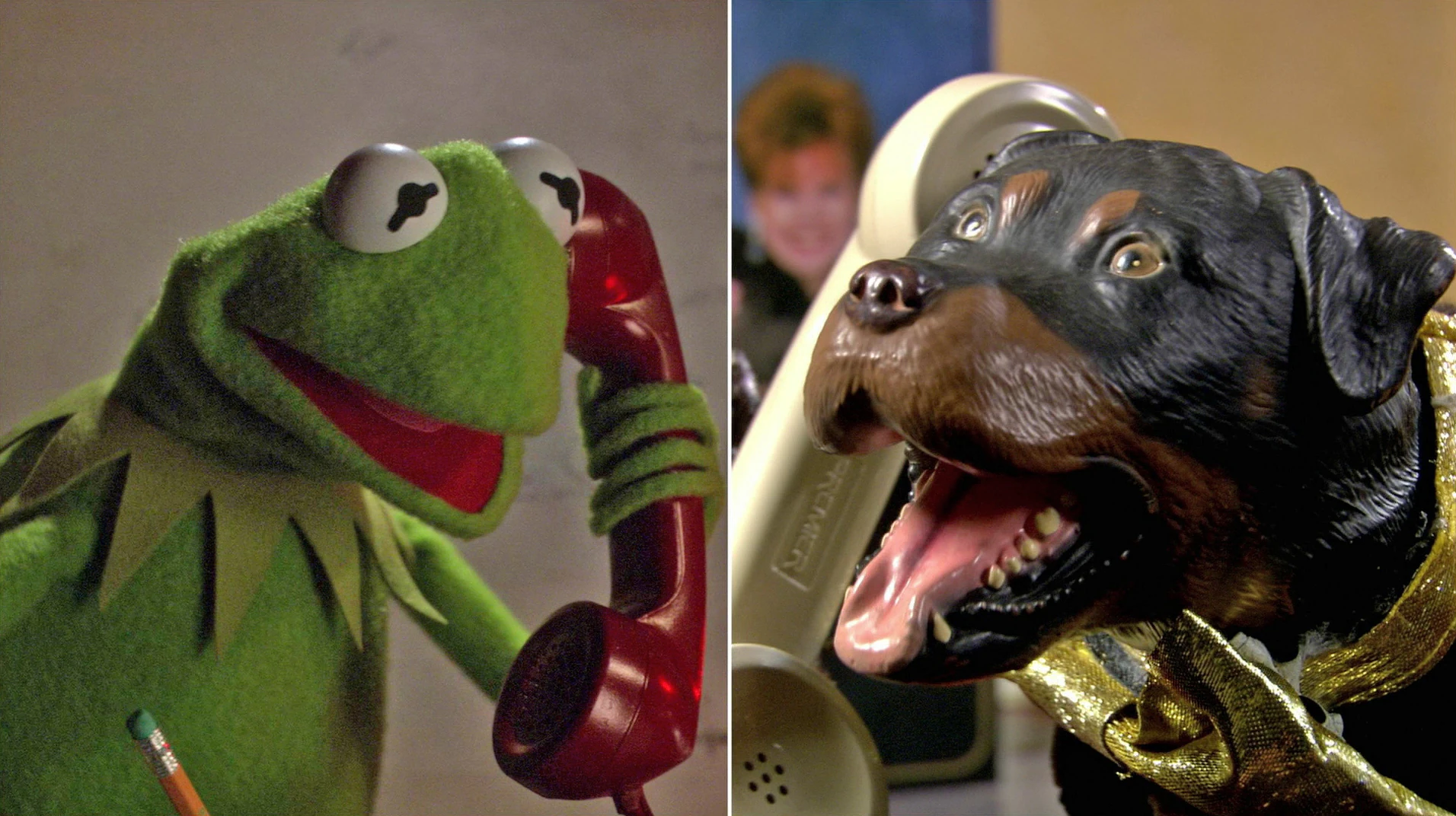 Kermit talks to Triumph