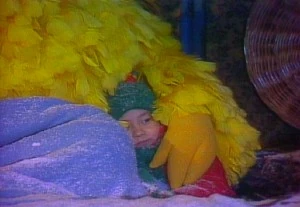 Patty snuggles on the roof with Big Bird in Christmas Eve on Sesame Street.