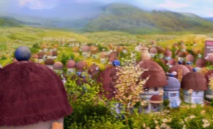 Munchkinland
