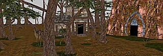 Image:ctpforest.png