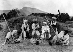 Deltarian harvest
