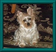 Molly-October 2006