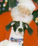 Quila-December 2006
