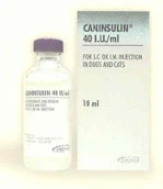 Caninsulin: Intervet's U40 pork lente insulin--this is its name in most of the world.