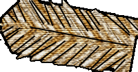 Imagem:espelho capt-vest.png