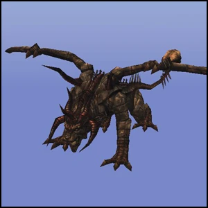 Chimerius.jpg