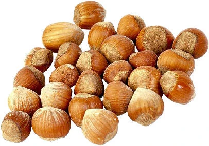 hazelnut