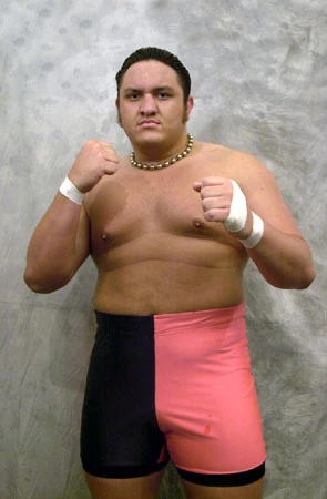 Samoa+joe+roh