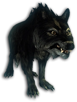 Black-Alpha-Wolf