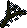Image:Dramen_branch.png