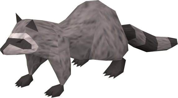 Image:Raccoon.png
