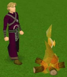 A player cooking food on a fire.