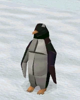 Image:Penguin_Preen.gif