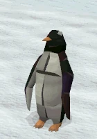 Image:Penguin_Clap.gif