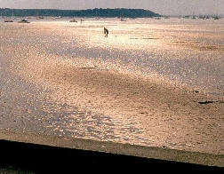 Sunset, Poole Harbour, Dorset, England, July