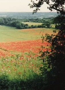 View from Kent Downs nr. Birling photo credit: Philralph