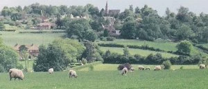 Image:Idehill3.jpg