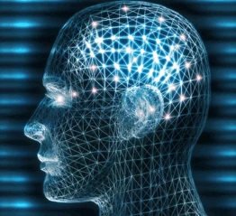 Image:Business20Intellignece20Head.gif