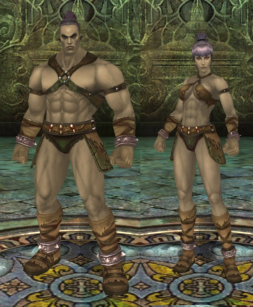 Races_Nordein.jpg