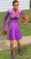A desperate fortune Sim