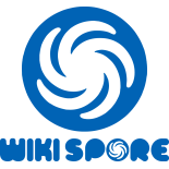 Wiki.png