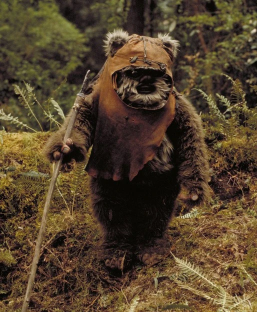 wicket