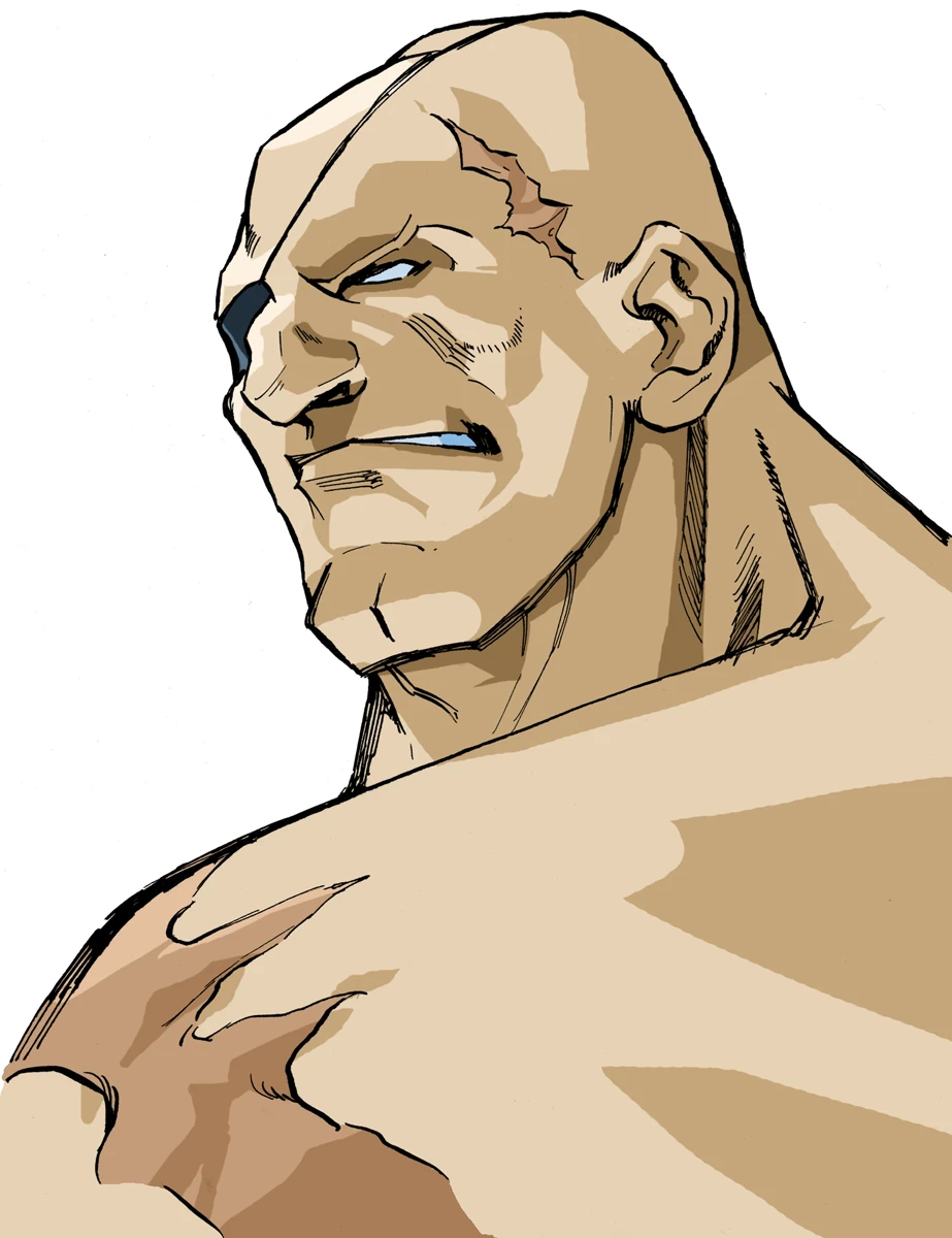 juli street fighter zero 3 の掲示板投稿写真＆画像