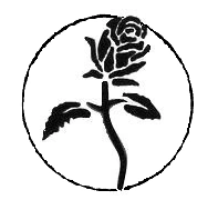 Black Rose - Symbolism Wiki