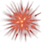 Bio-Augmentation