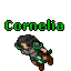 Image:Cornelia.gif