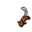 Image:Squirrel.gif