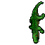 Image:Crocodile.gif