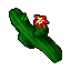 Sun_Adorer_Cactus.gif