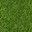 Grass_%28Tile%29.gif