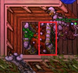 http://images.wikia.com/tibia/en/images/6/63/Pwq3.jpg