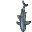 Shark.gif