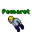 Pemaret.gif
