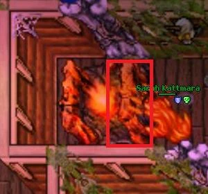 http://images.wikia.com/tibia/en/images/c/c6/Pwq4.jpg