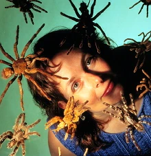 People are more afraid of spiders than insects.