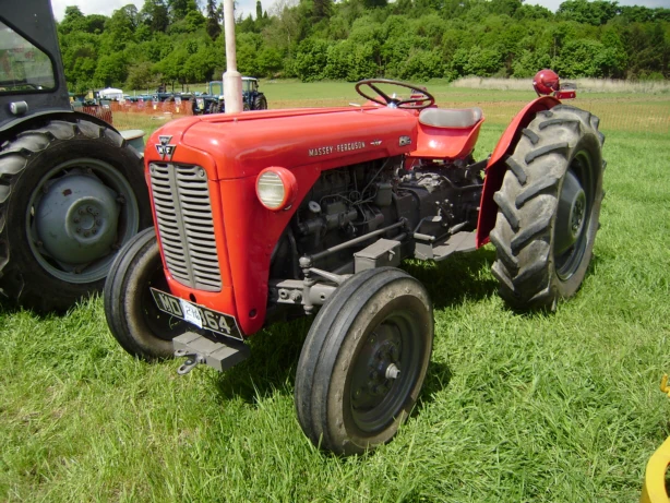 fergusontractor