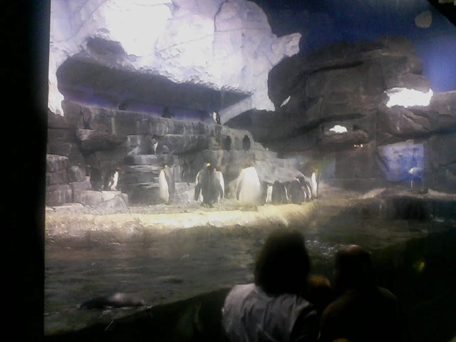 newport aquarium