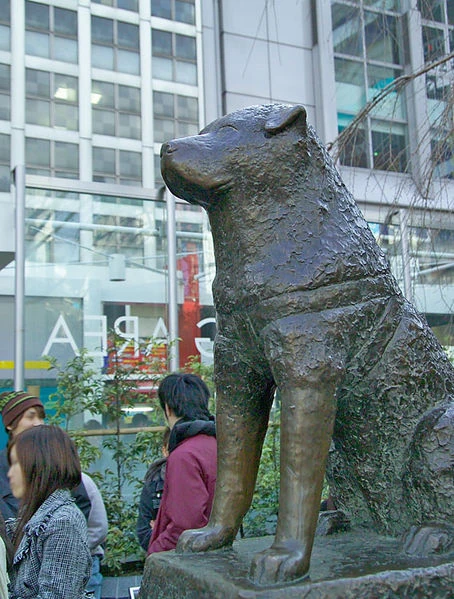 Image:Hachiko.jpg