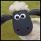 Shaun_the_Sheep_Icon.png