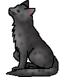 20120512015707%21Rainsplash.deputy.png